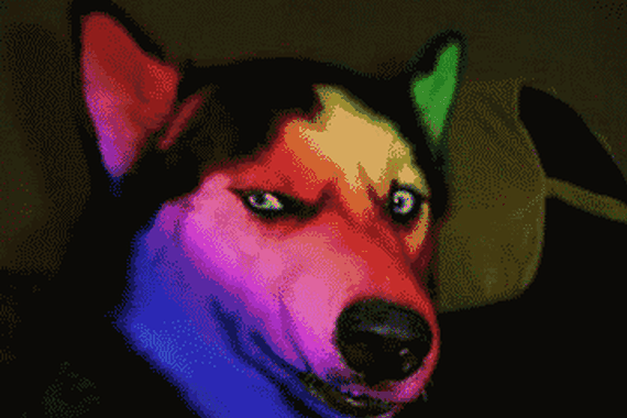 遇到“远光狗”，该怎么办呢？