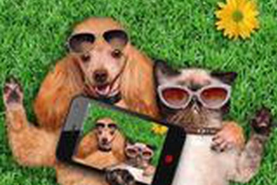 狗尿会伤害轮胎吗？如何避免小狗撒野？