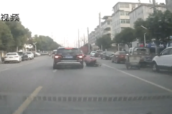 视频：司机神反应 车轮底下救了一条命