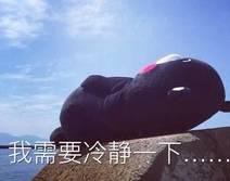 中国品牌都在师夷长技?明明是施以制夷!