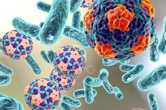 车内细菌大爆发，你真的不要命？