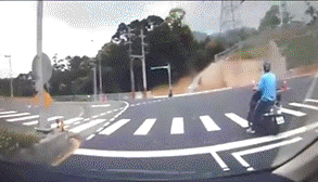 每日趣图|什么也阻止不了老司机开车