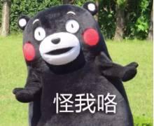 中国品牌都在师夷长技?明明是施以制夷!