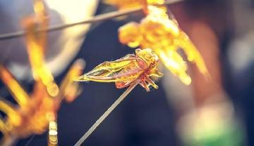 中国品牌都在师夷长技?明明是施以制夷!