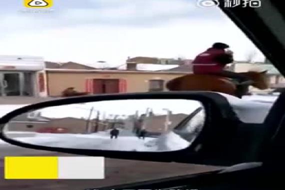 视频：内蒙快递小哥雪天骑马送快递