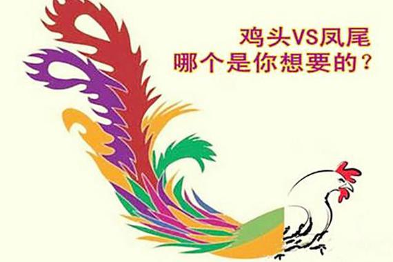 鸡头VS凤尾，哪个才是你想要的车？
