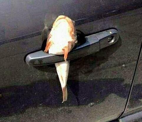 每日趣图|车模胸不够低摄影师就上手?