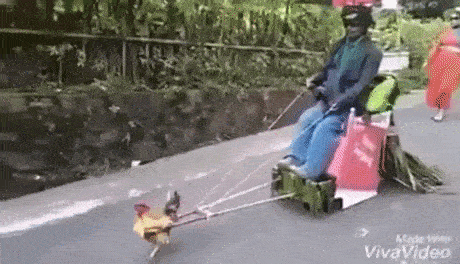 每日趣图|应该放个木板凳比较舒服