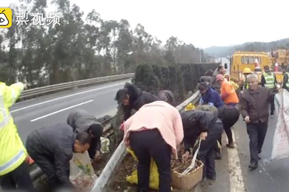 村民穿高速哄抢翻车货物 称不怕危险