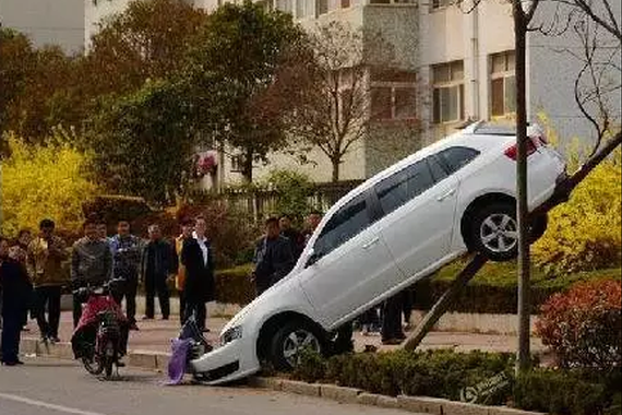 老司机教你停车，学会你就能“横行天下”