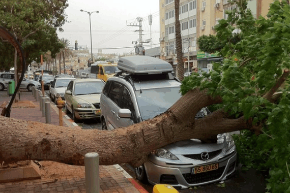 等红灯时遭遇飞来横祸，车主吓得脸色苍白