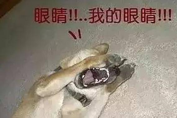 自从有了它，我怀疑别人开了假“远光灯”