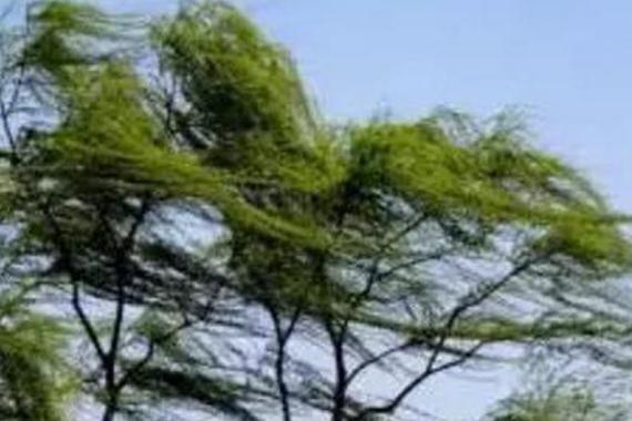 大风天跑高速？这些驾车秘笈赶紧收藏！