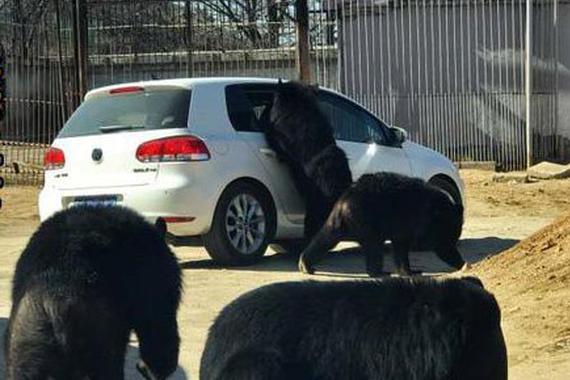 驾车怎样杜绝儿童误操作引起的危险