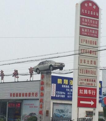 每日趣图|摩托:我的能量 你驾驭不住