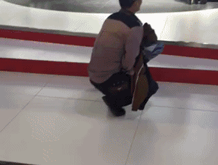 每日趣图|一言不和你就拍女司机胸?