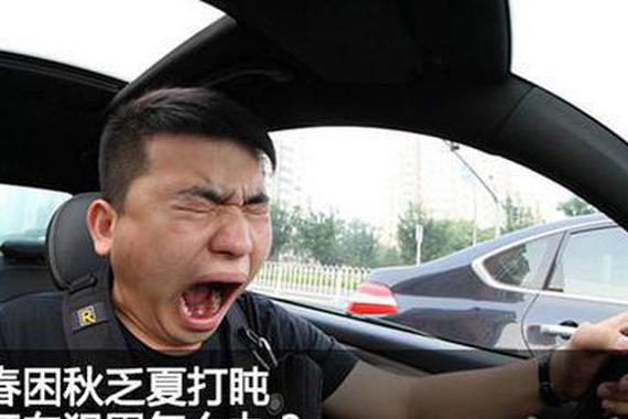 春天开车犯困，这8种“秘方”让你安全到家