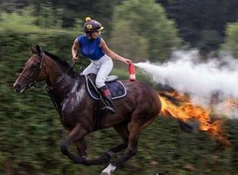 每日趣图|我就服那个拍照的