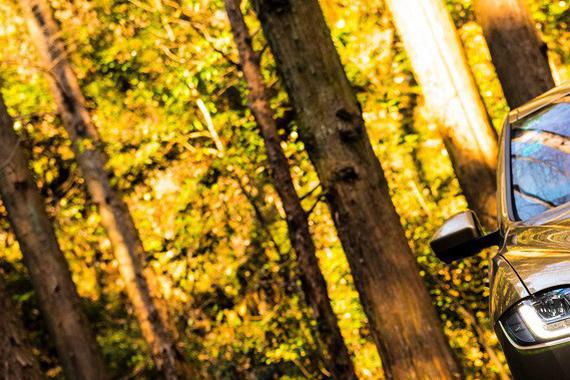 学会这5招，手机也能拍“大片”