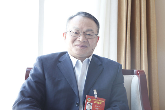 全国政协委员胡树华：中国汽车想搞好 “家长”牵头补“两心”