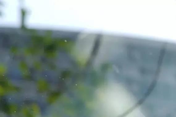 开车还要学会补牙？驾校没教的技能我们教