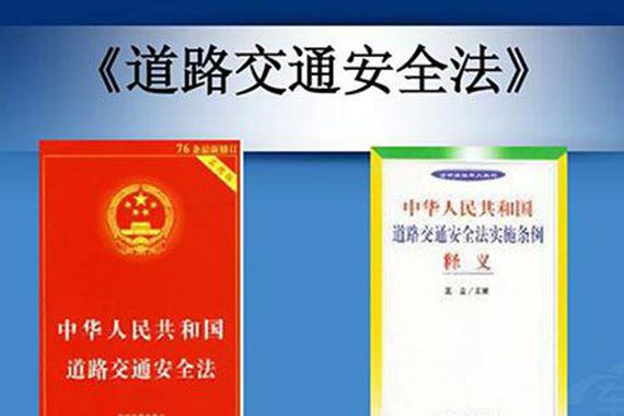 国外不遵守交规撞死真白撞？