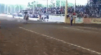 每日趣图|好心扶你 你咋还脱我裙子呢