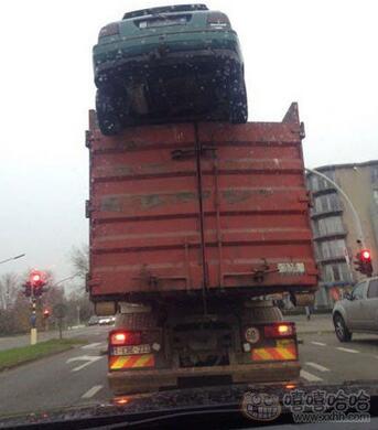 每日趣图|当发现钱包落在出租车上时