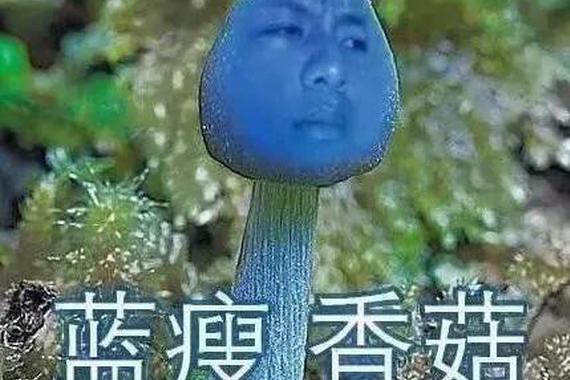 蓝瘦 香菇好多车主反映 车子钥匙拧不动