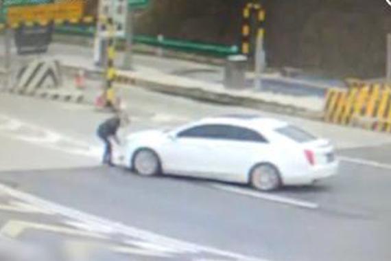 视频：收费站改车牌！这智商基本告别作弊