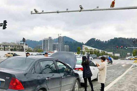 猴屁股和红灯太相似 一名女司机因此撞车了