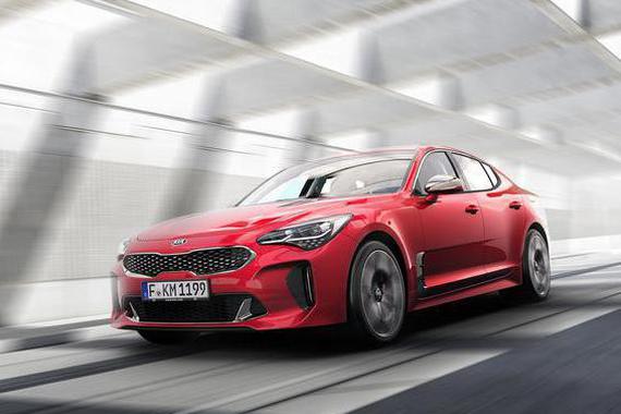 又长了10厘米，劲头更足了，尽情的尖叫吧