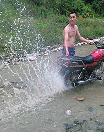 每日趣图|大哥你这是左右都有护花使者啊