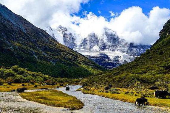 性价比最高的豪华旅行车, 为啥国人不买?