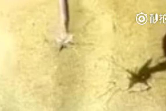 视频：自己动手，30元修复车玻璃裂纹