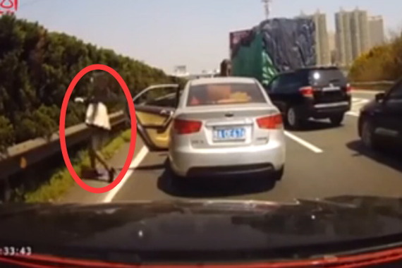 视频：女司机高速停车！就为抓只野鸡