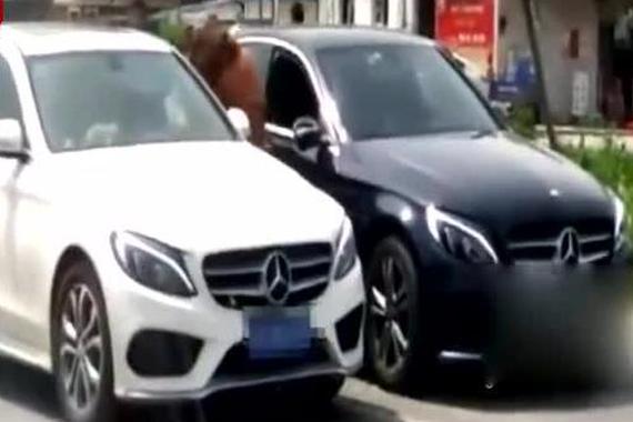 视频：奔驰女司机互相撕扯！险被脱光上衣