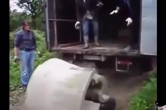 各种搞笑卸货失误 智商不够下次不要做