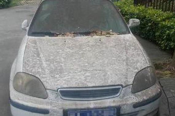 车停放时间过长，再次启动的五点注意事项