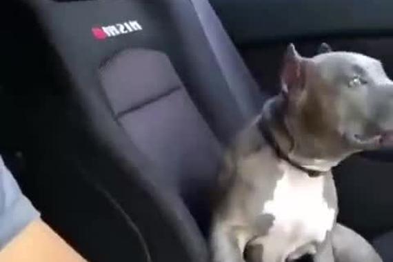 视频：第一次坐跑车的你，大概就是这样子