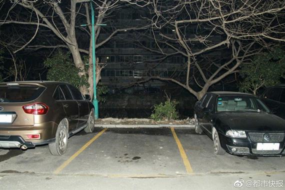 这个车位有毒！老司机来的也得跪