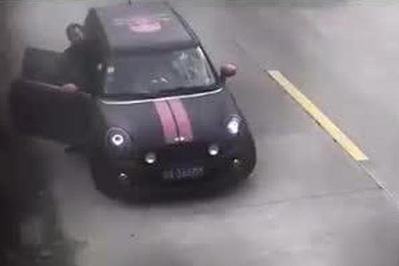 视频：明明踩刹车就可以避免 结果却掉河