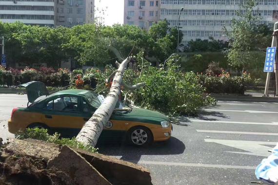 北京三环大树砸车 9级风吹走“沙尘暴”
