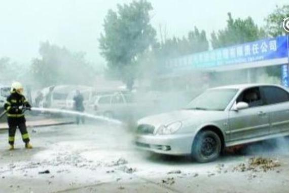 视频：引燃汽车？柳絮对汽车的大危机