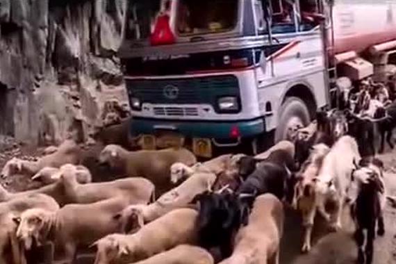 视频：世界上最危险公路 老司机也害怕