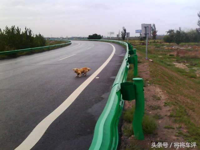 想上高速?这十四点必须搞明白!