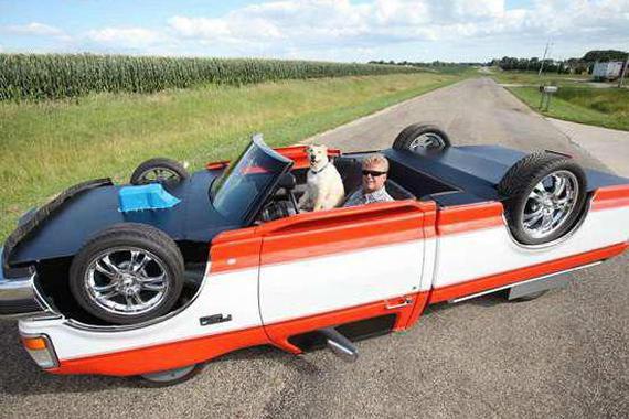 将大黄蜂和猛禽焊接在一起，这造型太酷了！