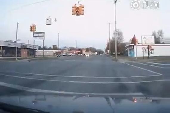 视频：稀奇！回家的路上 野鸭从天而降