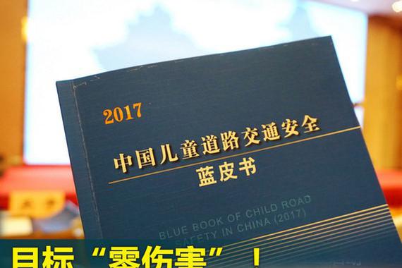 2017儿童道路交通安全蓝皮书发布会举行