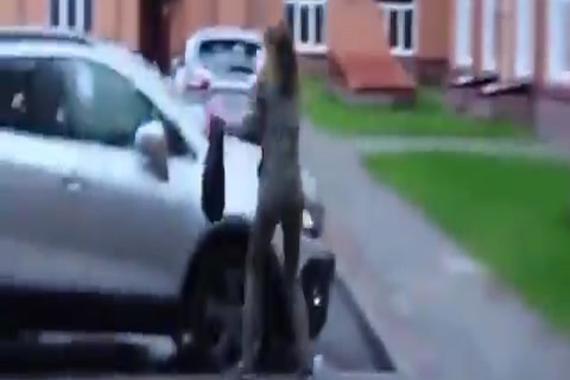 视频：妹子欲报复男友汽车！结果很尴尬